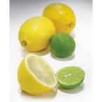 Simposh Citrus Juicer Squeezer